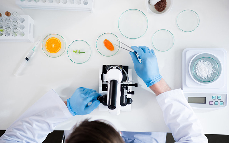 食品/保健食品檢測(cè)