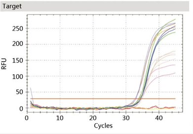 什么是試驗報告