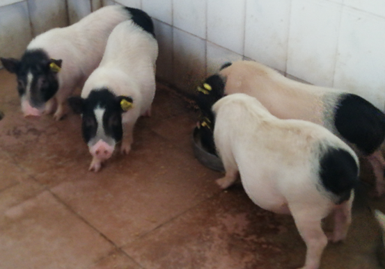 微信圖片_20230506142312