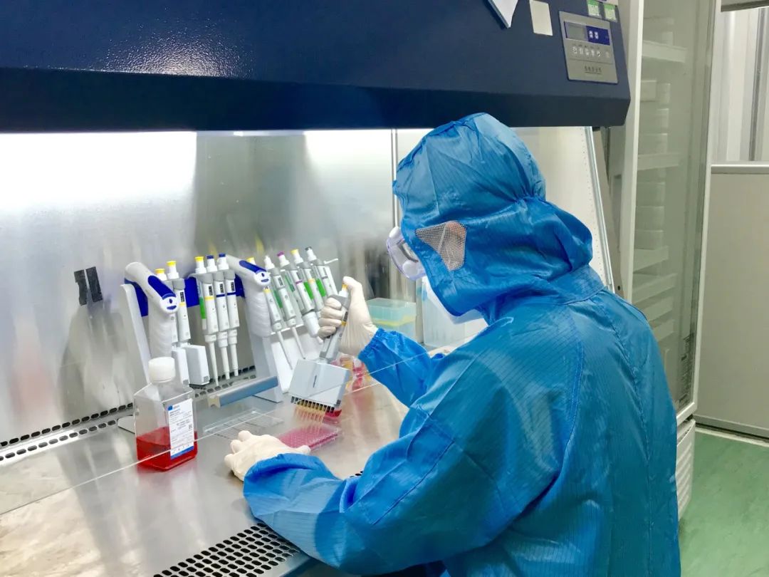 標(biāo)準(zhǔn)解讀丨GB/T 21551.2新標(biāo)解讀：家用電器零部件抗病毒檢測(cè)升級(jí)！