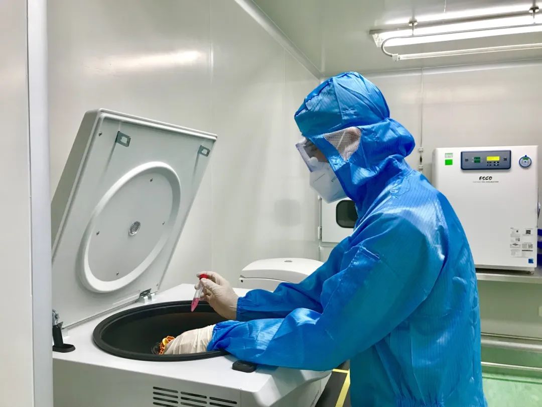 重組膠原蛋白敷料注冊申報小知識 Part 2